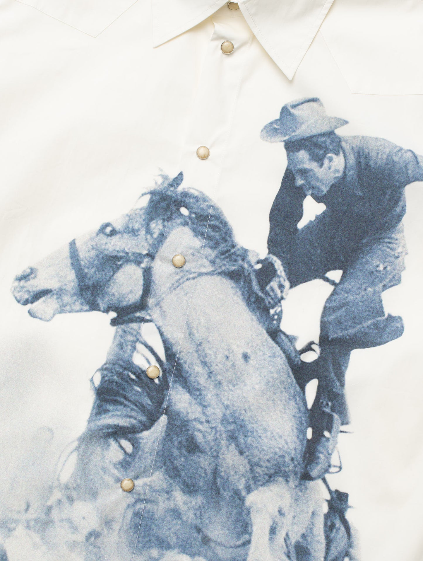 Rodeo Madness