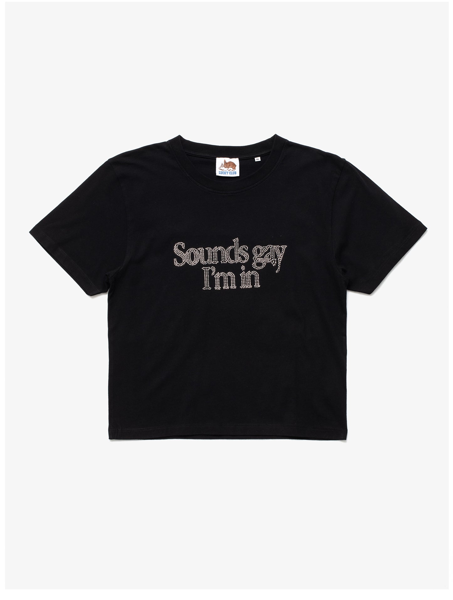 Sounds Gay, I'm In Baby!