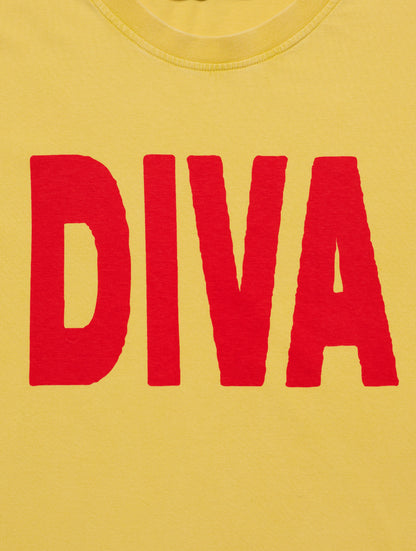 DIVA