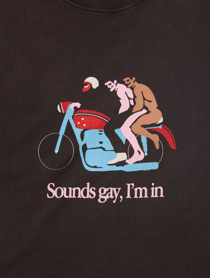Sounds Gay, We're In