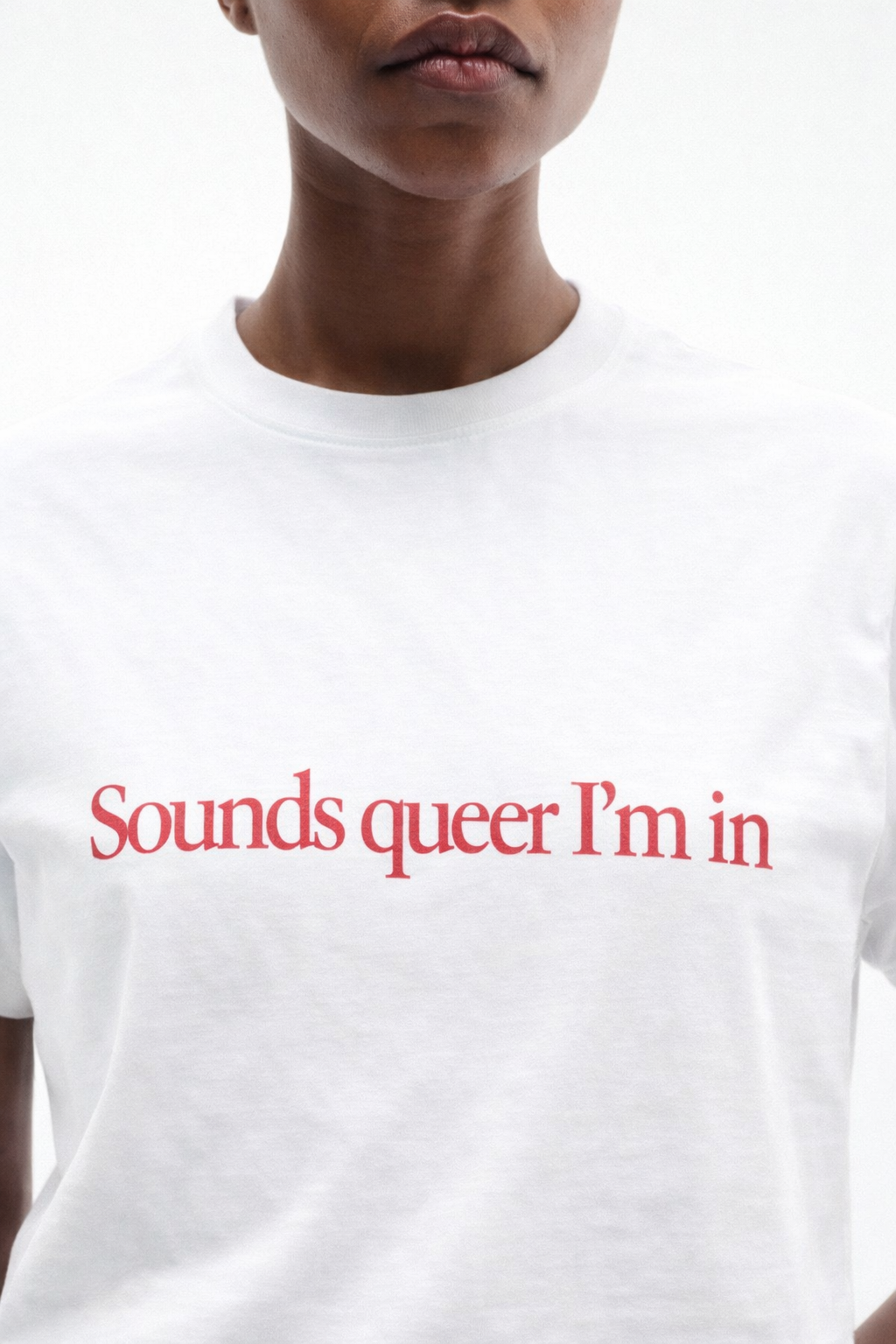 Sounds Queer I'm In T-Shirt
