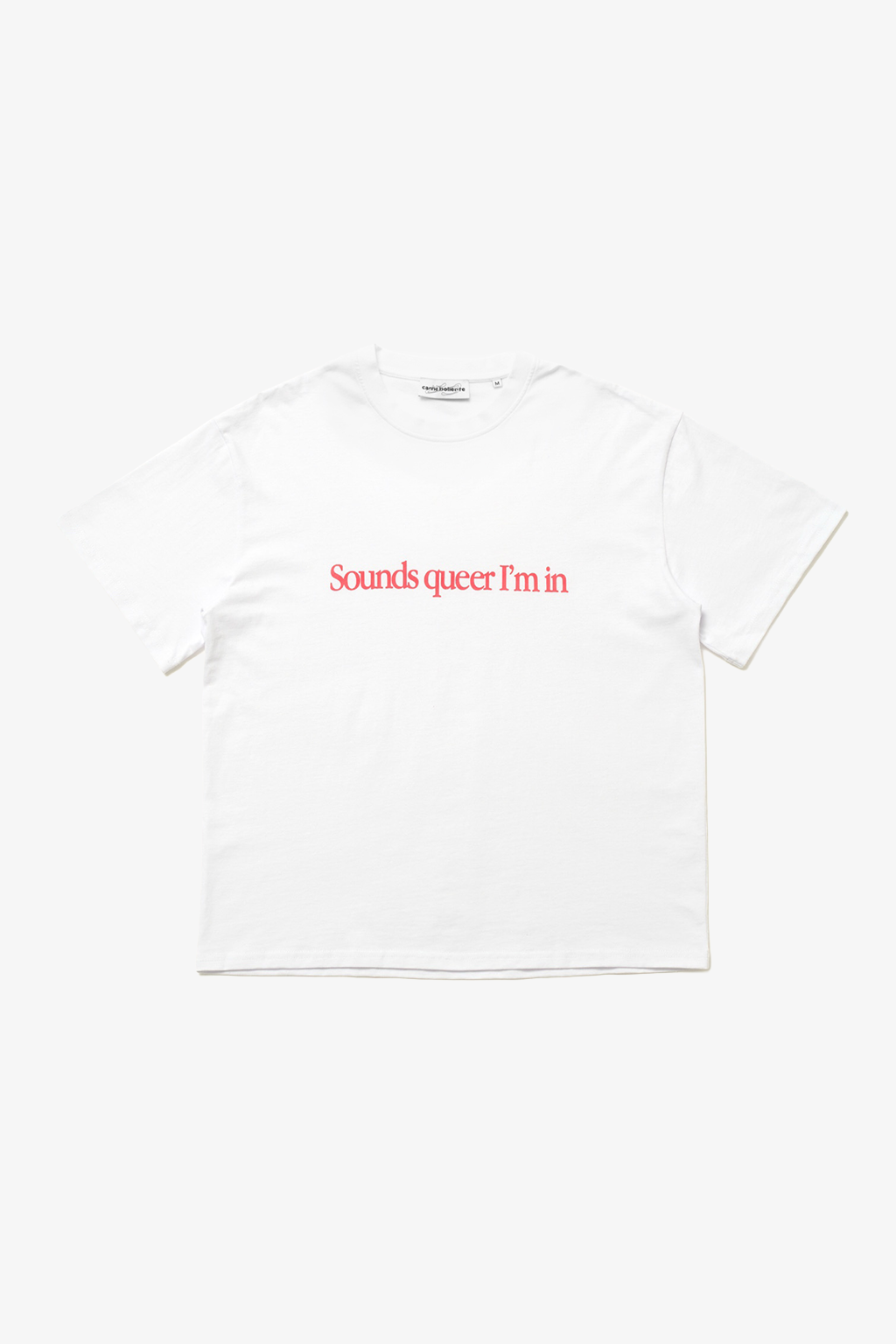 Sounds Queer I'm In T-Shirt